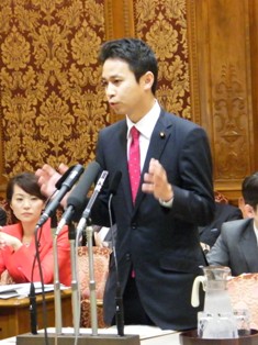 予算委員会で質問を行った谷合参院議員