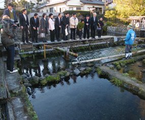 三島梅花藻の里を現地調査した谷合参院議員